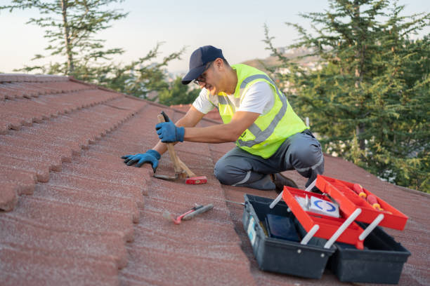 Best Roof Maintenance Services  in Reynoldsville, PA