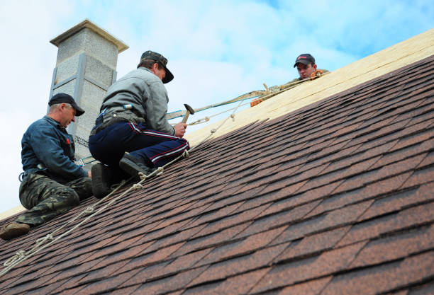Best New Roof Installation  in Reynoldsville, PA